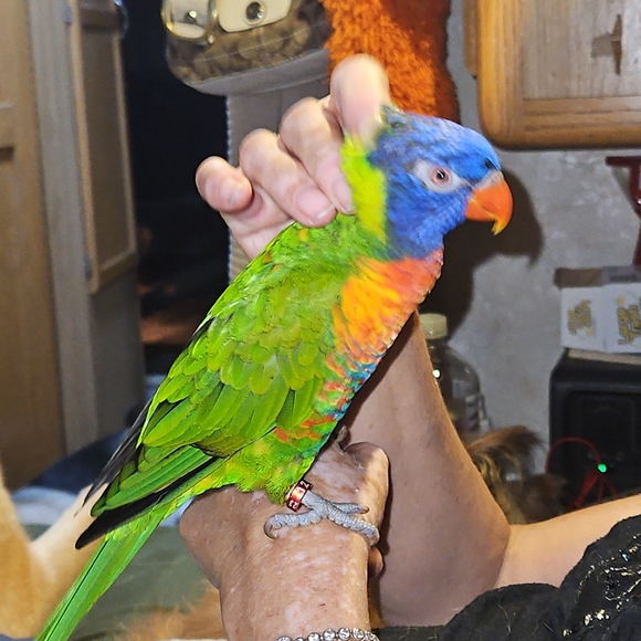 Meet your Posher, Thanh - Picture 5 of 10